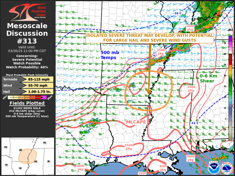 Mesoscale Discussion 313