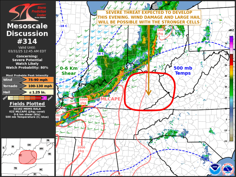Mesoscale Discussion 314