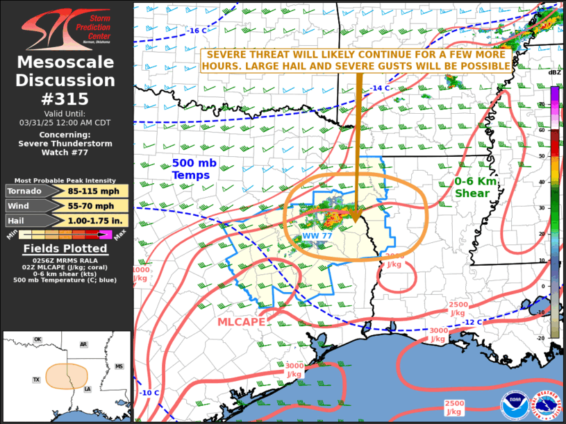 Mesoscale Discussion 315