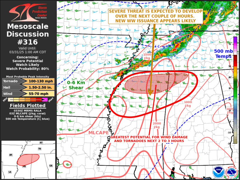 Mesoscale Discussion 316