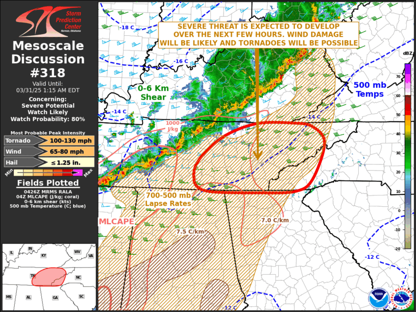 Mesoscale Discussion 318