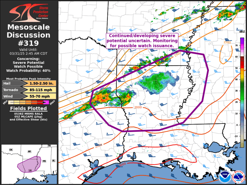 Mesoscale Discussion 319