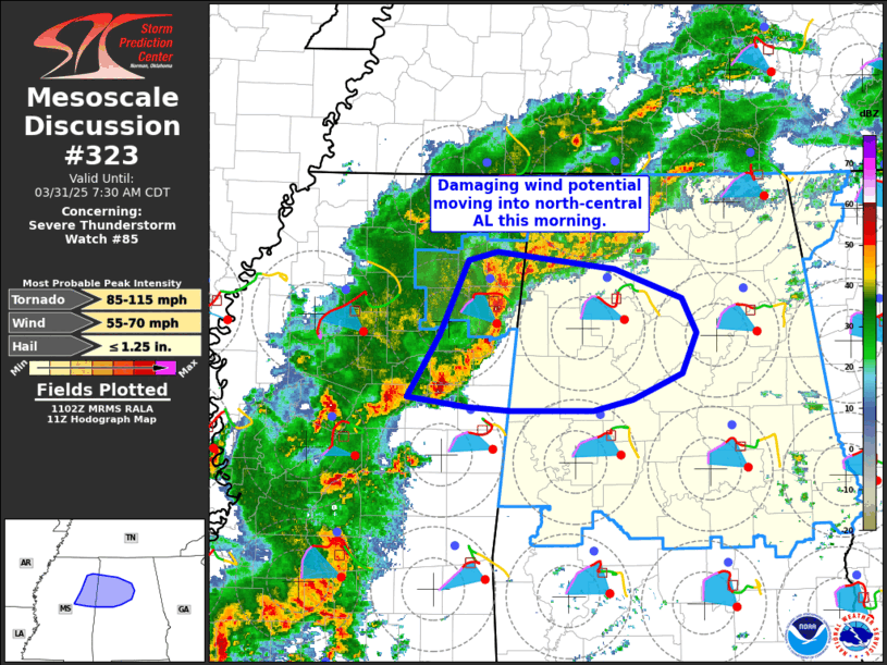 Mesoscale Discussion 323