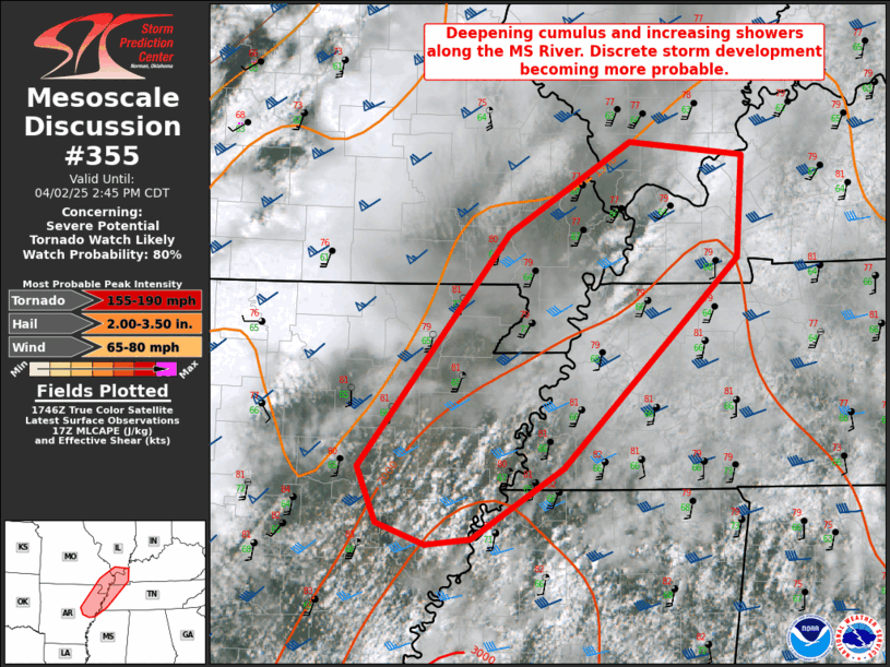 Mesoscale Discussion 355