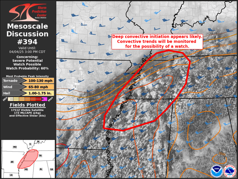 Mesoscale Discussion 394