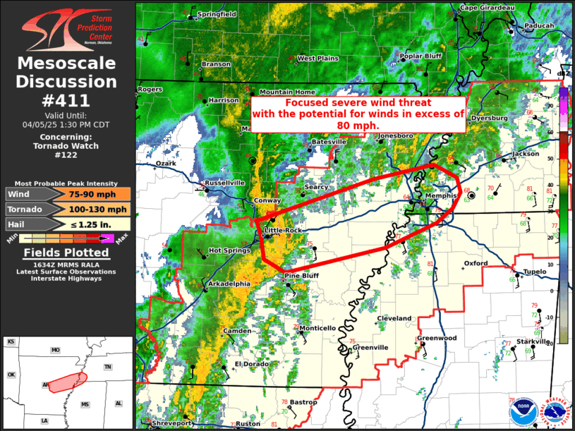 Mesoscale Discussion 411