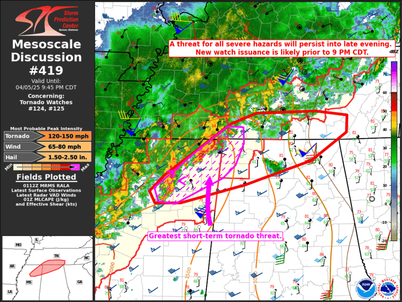 Mesoscale Discussion 419