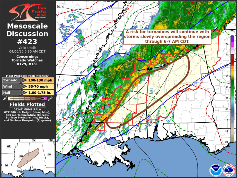 Mesoscale Discussion 423