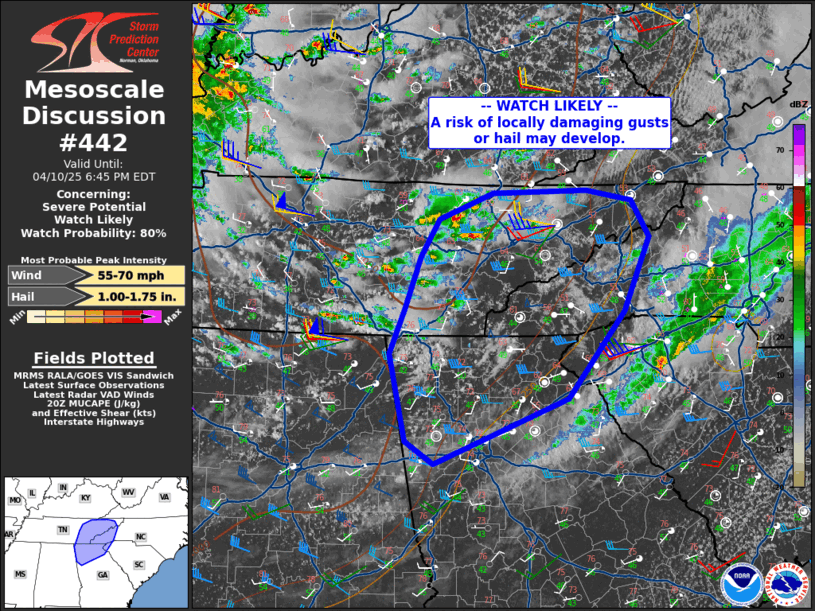 Mesoscale Discussion 442