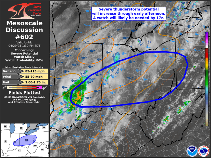 Mesoscale Discussion 602