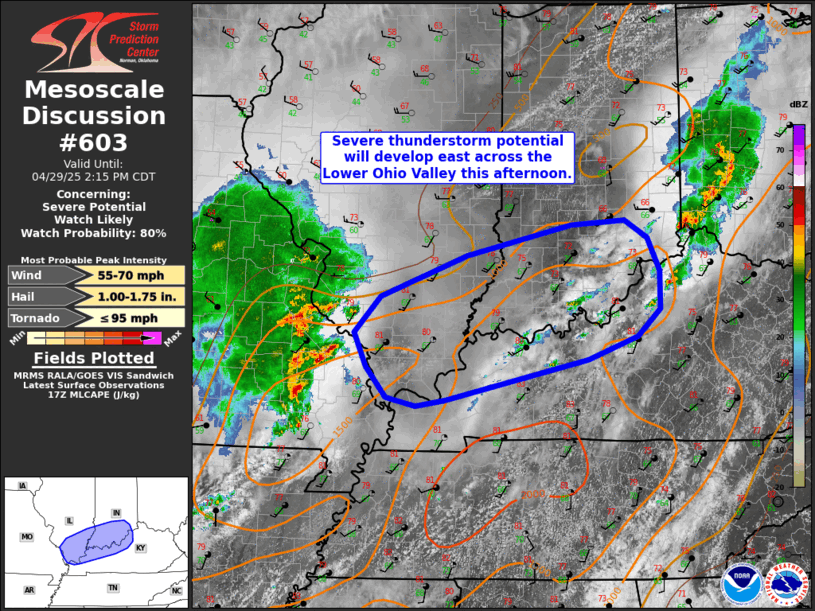 Mesoscale Discussion 603