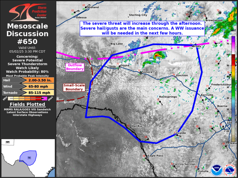 Mesoscale Discussion 650