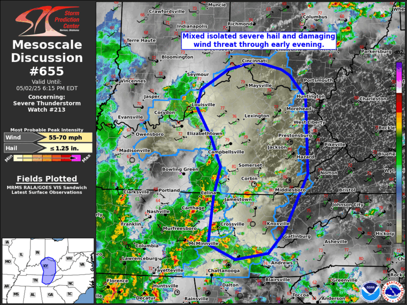Mesoscale Discussion 655