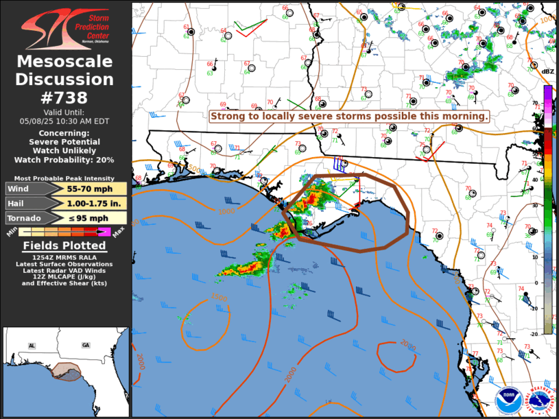 Mesoscale Discussion 738