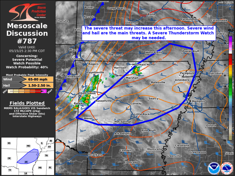 Mesoscale Discussion 787