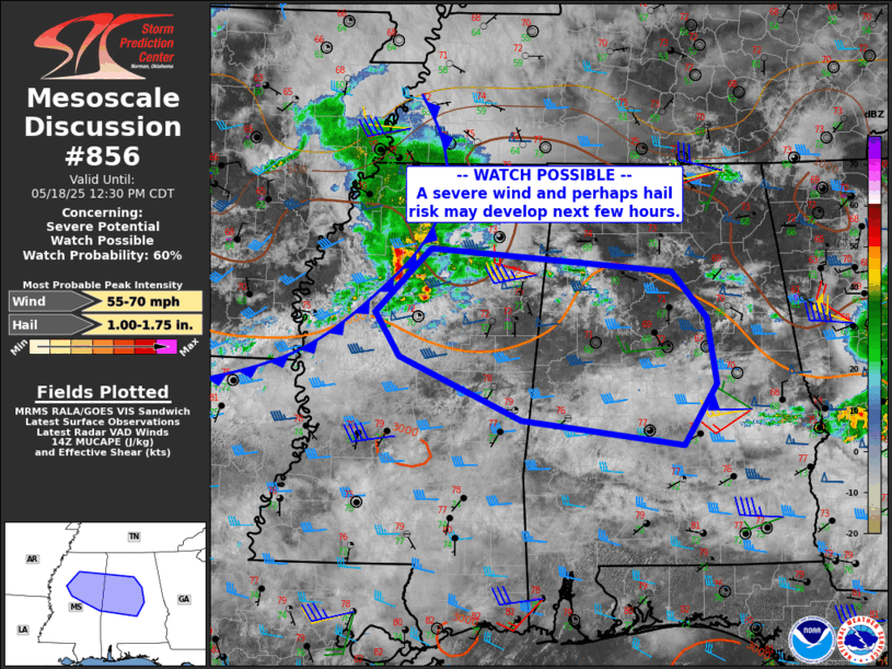 Mesoscale Discussion 856