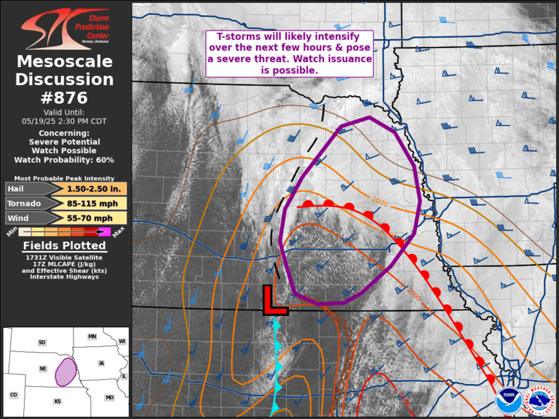 Mesoscale Discussion 876