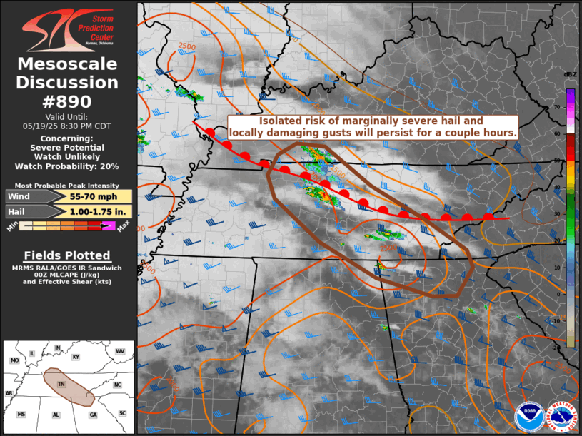 Mesoscale Discussion 890