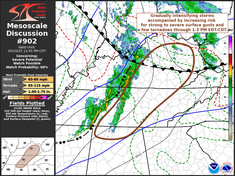 Mesoscale Discussion 902