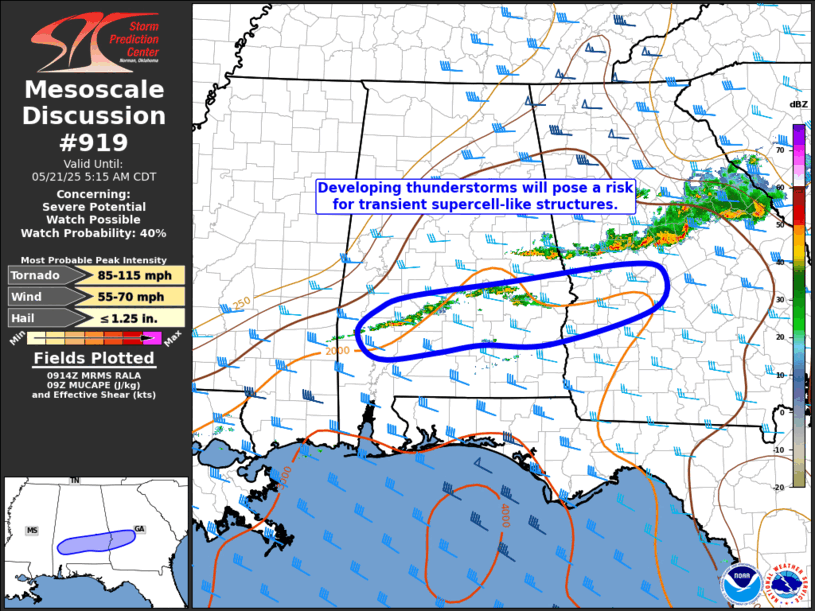 Mesoscale Discussion 919