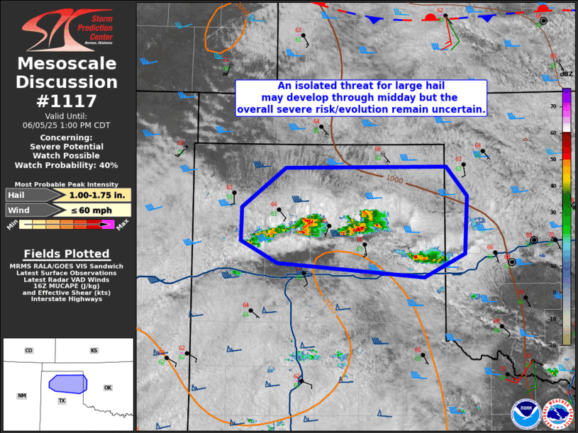 Mesoscale Discussion 1117