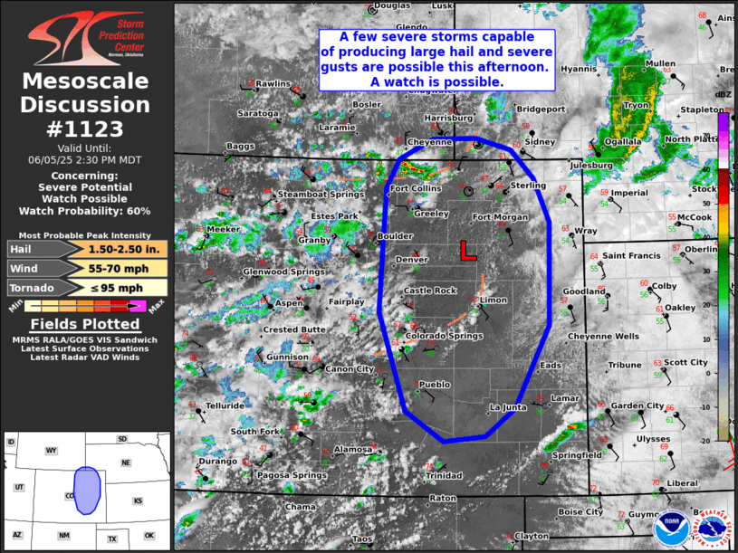 Mesoscale Discussion 1123