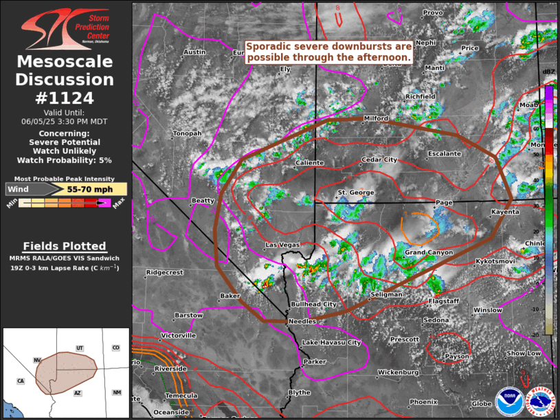 Mesoscale Discussion 1124