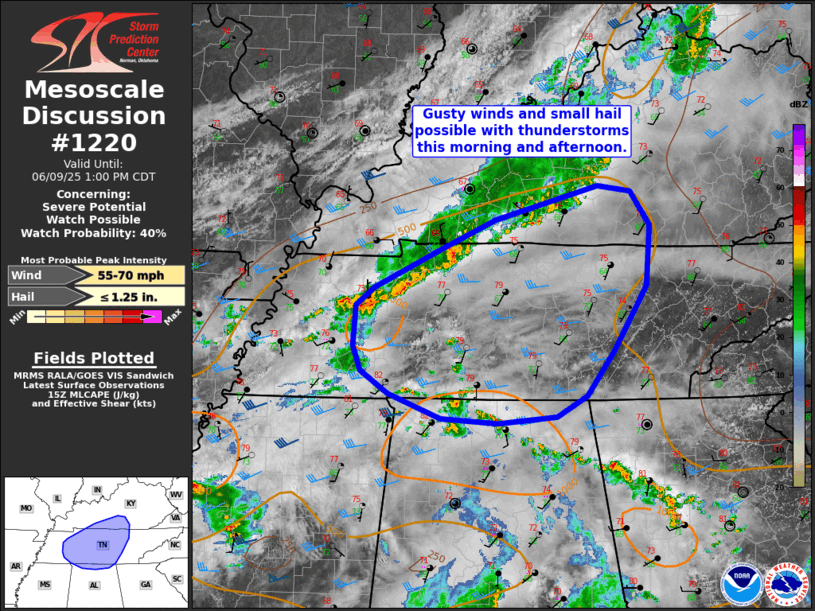 Mesoscale Discussion 1220