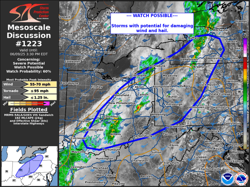 Mesoscale Discussion 1223