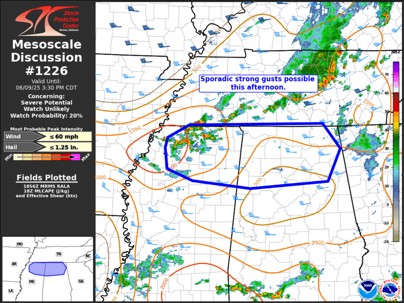 Mesoscale Discussion 1226