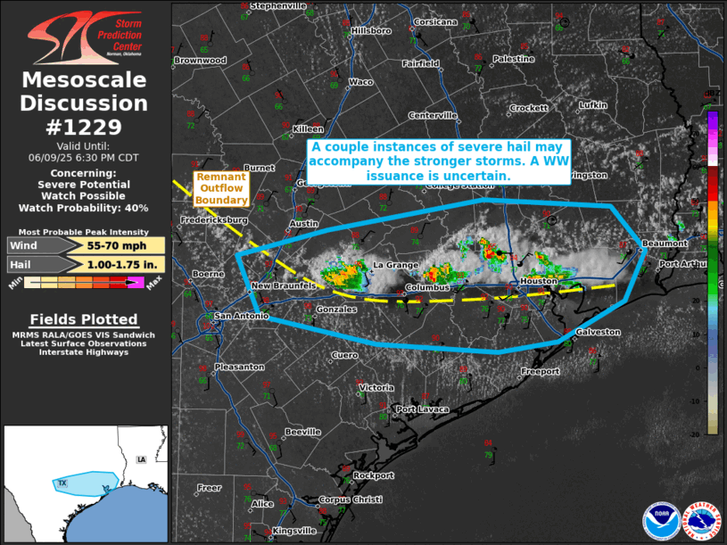 Mesoscale Discussion 1229