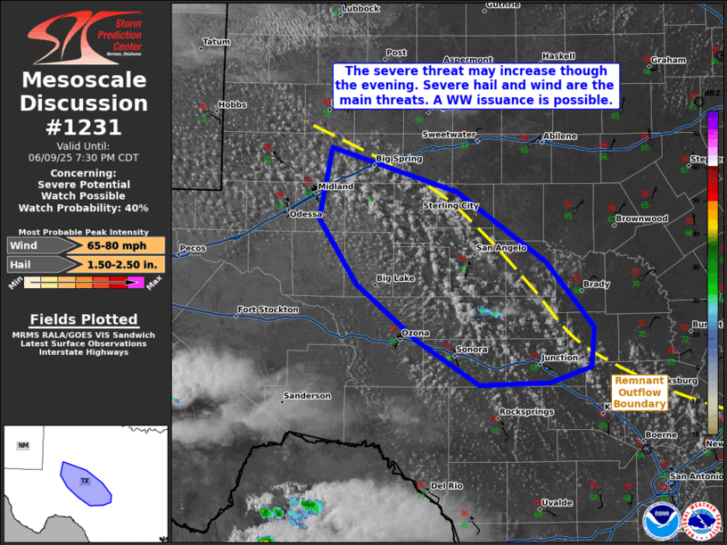 Mesoscale Discussion 1231