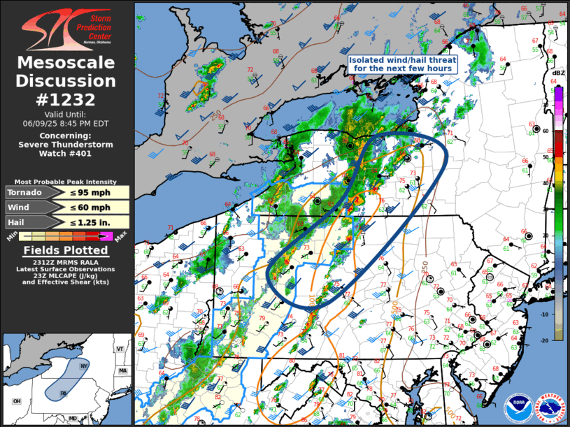 Mesoscale Discussion 1232