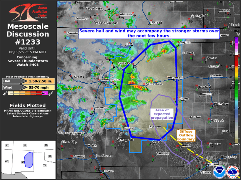 Mesoscale Discussion 1233