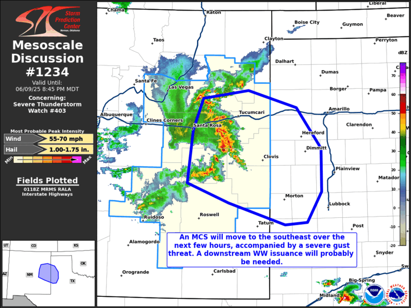 Mesoscale Discussion 1234