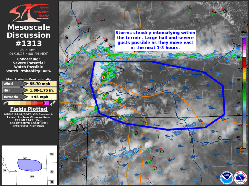 Mesoscale Discussion 1313
