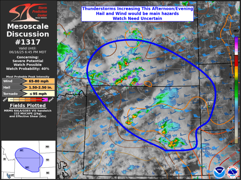 Mesoscale Discussion 1317