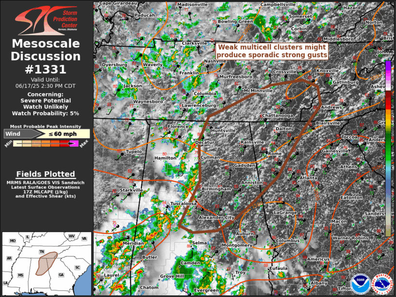 Mesoscale Discussion 1331