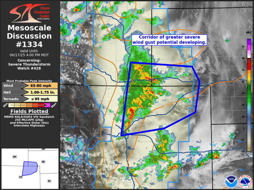 Mesoscale Discussion 1334