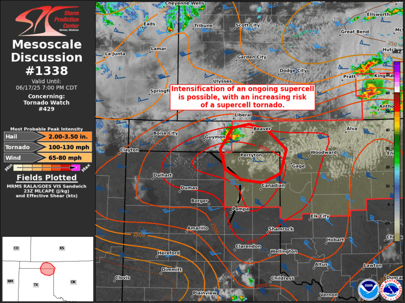Mesoscale Discussion 1338