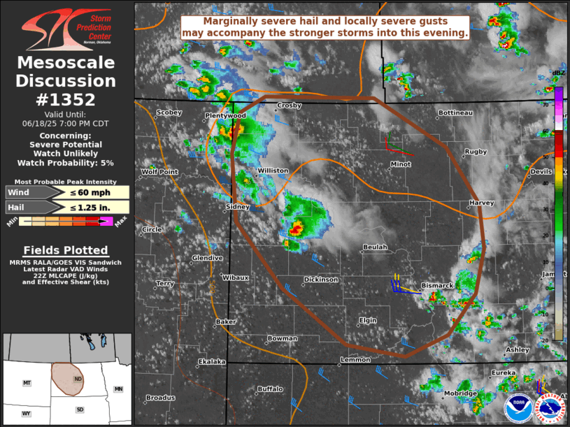 Mesoscale Discussion 1352