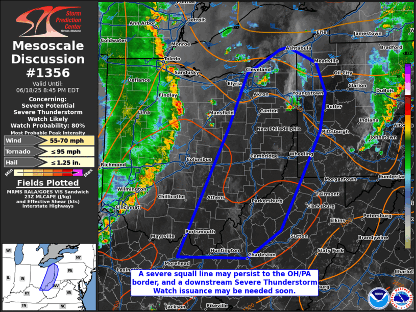 Mesoscale Discussion 1356