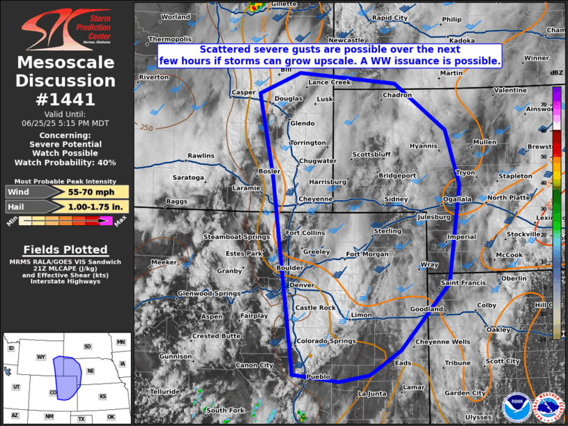 Mesoscale Discussion 1441