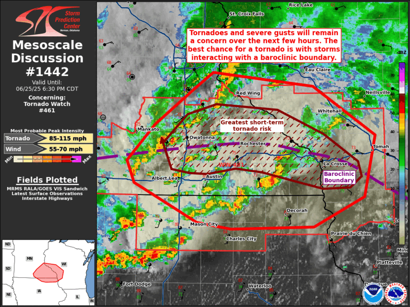 Mesoscale Discussion 1442