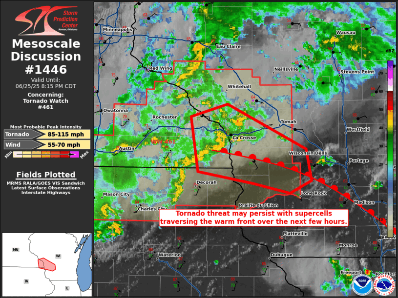 Mesoscale Discussion 1446