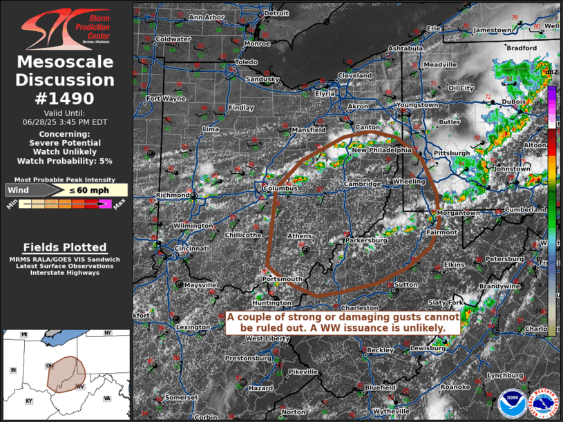 Mesoscale Discussion 1490