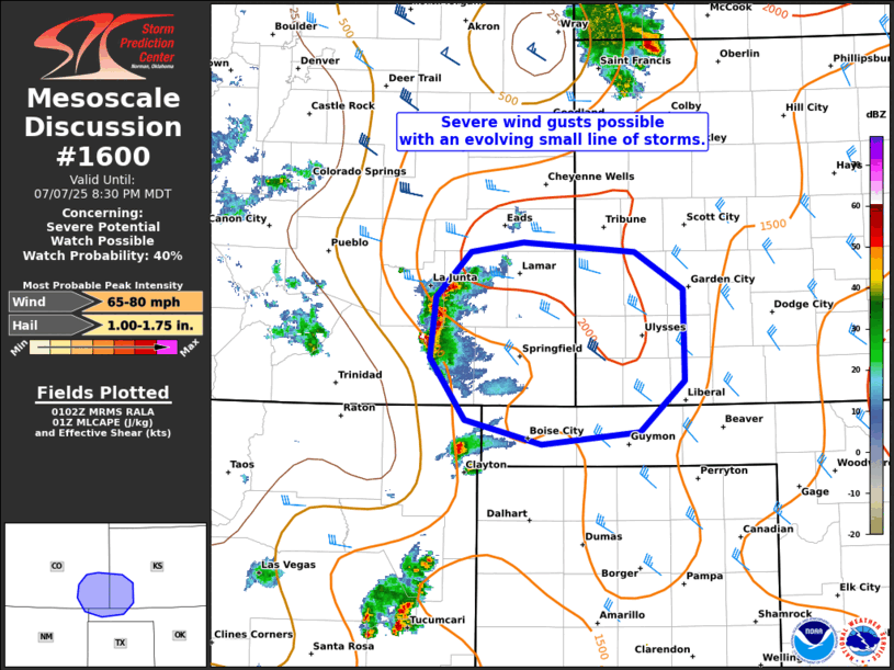 Mesoscale Discussion 1600