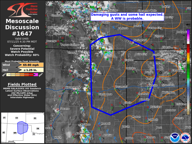 Mesoscale Discussion 1647