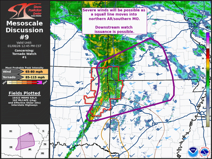Mesoscale Discussion 9