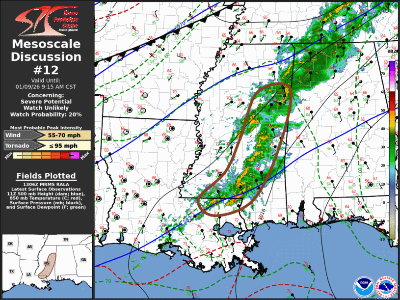 Mesoscale Discussion 12